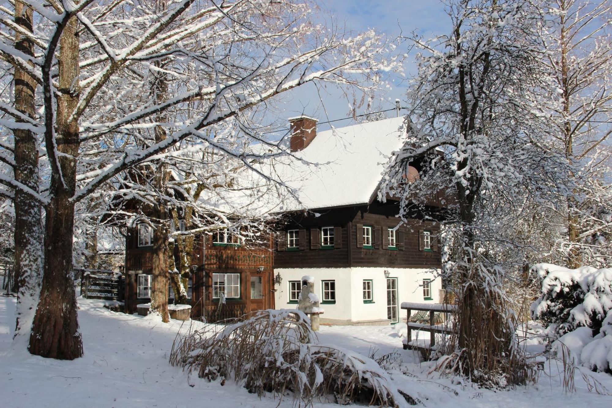 Ferienhaus Gut - Eisenlehen Βίλα Bad Goisern Εξωτερικό φωτογραφία